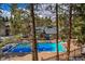 Community pool surrounded by tall pine trees at 820 Columbine Rd # 10, Breckenridge, CO 80424