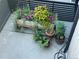 Patio area with various potted plants and gardening setup at 2432 Champa St, Denver, CO 80205