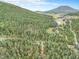 Scenic aerial shot of the property surrounded by lush forest and rolling hills at 10142 S Turkey Creek Rd, Morrison, CO 80465