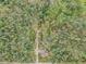 Aerial view of a wooded property, showing a house nestled among trees and a long driveway at 10142 S Turkey Creek Rd, Morrison, CO 80465