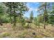 A home nestled amongst towering trees, offering a secluded and peaceful setting at 10142 S Turkey Creek Rd, Morrison, CO 80465