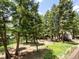The peaceful backyard is in a wooded area with lush trees and a boulder at 30382 Kings Valley East, Conifer, CO 80433