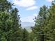 Scenic view of a mountain range through the trees at 30382 Kings Valley East, Conifer, CO 80433