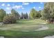 Landscaped golf green with a flag and sand trap, nestled among mature trees on a sunny day at 10145 Meadow Run, Parker, CO 80134