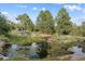 Scenic view of a tranquil pond featuring lily pads and lush landscaping, creating a serene backyard oasis at 10145 Meadow Run, Parker, CO 80134