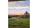 Peaceful sunset view of a spacious backyard, enhanced by sprinklers watering the lush lawn at 10554 Tanglewood Rd, Franktown, CO 80116