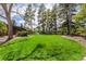 Expansive lush backyard with mature trees and manicured lawn, perfect for outdoor activities and relaxation at 6975 S Chase Ct, Littleton, CO 80128