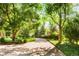 Beautiful curving driveway lined with lush greenery and mature trees at 1700 E Tufts Ave, Cherry Hills Village, CO 80113