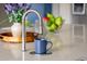 Close-up on kitchen island with modern faucet, mug, and fruit bowl, perfect for casual dining at 722 Hutchinson St, Louisville, CO 80027