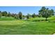 Lush golf course with manicured green grass, scattered trees, and a peaceful pond, creating a serene outdoor environment at 7882 Vallagio Ln, Englewood, CO 80112