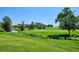 Lush green golf course with a small stream, manicured fairways, and mature trees creating a serene landscape at 7882 Vallagio Ln, Englewood, CO 80112