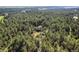 Birds eye view of a home surrounded by a large evergreen forest with a forest floor of green at 11044 Conestoga Pl, Franktown, CO 80116