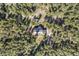 An aerial view shows the home and forest of evergreen trees with a forest floor of green at 11044 Conestoga Pl, Franktown, CO 80116