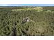 A wide angle aerial shows a home surrounded by a huge evergreen forest with a light blue sky at 11044 Conestoga Pl, Franktown, CO 80116