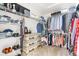 Walk-in closet featuring shelving, hanging clothes, and carpeting at 12032 Triple Crown Dr, Parker, CO 80134