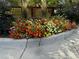 Vibrant flower bed with a variety of colorful blooms at 4790 E Dartmouth Ave, Denver, CO 80222