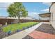 Large backyard with a lush lawn, mature tree, and covered patio at 2328 Saddle Back Ct, Fort Lupton, CO 80621