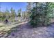 Spacious backyard with a small shed and greenhouse among mature trees on a sunny day at 12229 Circle Dr, Conifer, CO 80433
