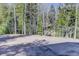 Vacant land on a sunny day perfect for building a new house at 12229 Circle Dr, Conifer, CO 80433