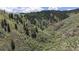 High-angle aerial view of a hill covered with lush grass, trees and shrubs against a blue sky with clouds at 6945 N Fargo Trl, Littleton, CO 80125
