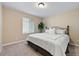 Cozy bedroom with neutral colors, window and queen bed at 1668 Rosemary Dr, Castle Rock, CO 80109