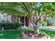 Charming front yard with lush green grass, a beautiful tree, and a brick house, creating a welcoming entrance at 3259 W 111Th Drive, Westminster, CO 80031