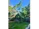 Lush backyard with mature trees offering ample shade and a serene setting at 984 S Braun Dr, Lakewood, CO 80228