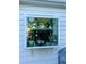 Window with small plants at 984 S Braun Dr, Lakewood, CO 80228