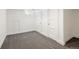 Finished basement with plush grey carpet and dual closets with white doors and gold handles at 2025 Ash St, Denver, CO 80207