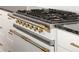 Close-up view of a professional-grade gas range with custom knobs and stainless steel accents at 2025 Ash St, Denver, CO 80207