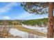 Scenic view of a valley with scattered trees and snow patches, partially framed by a tree branch at 21849 Cabrini Blvd, Golden, CO 80401
