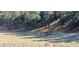 Expansive pasture with grazing wildlife near mature trees at 21849 Cabrini Blvd, Golden, CO 80401