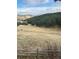 Expansive pasture with grazing wildlife and picturesque mountain views at 21849 Cabrini Blvd, Golden, CO 80401