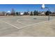 Outdoor community basketball court provides space for recreation and exercise at 20451 Kelly Pl, Denver, CO 80249