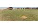 Expansive lot with green grass at 10653 E 163Rd Ct, Brighton, CO 80602