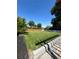 Spacious backyard with lush green grass, modern wood fence and shade trees at 3270 Depew St, Wheat Ridge, CO 80212