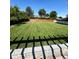 Picture of well-maintained backyard with green lawn and a modern wooden fence at 3270 Depew St, Wheat Ridge, CO 80212