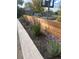 Landscaped yard featuring a flower bed with a wooden border and a variety of vibrant plants for a pop of color at 3270 Depew St, Wheat Ridge, CO 80212