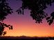 Dramatic sunset in shades of orange and purple viewed through silhouetted tree branches at 1309 Alexandria St, Lafayette, CO 80026