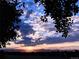 Beautiful sunset over the mountains as seen through the trees at 1309 Alexandria St, Lafayette, CO 80026