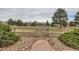 Backyard gate leading to open green space with mature trees and landscaping at 2035 Buchanan Pt, Lafayette, CO 80026