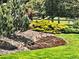 Close-up of the well-maintained landscaping of the backyard at 2035 Buchanan Pt, Lafayette, CO 80026