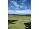 A beautiful grassy field with green trees and a blue sky in the background at 8617 Gold Peak Dr # D, Highlands Ranch, CO 80130