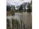 Scenic pond view featuring a fountain, reeds and various trees surrounding the water at 8617 Gold Peak Dr # D, Highlands Ranch, CO 80130