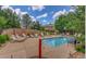 Private outdoor pool with lounge chairs, stone privacy wall, shower station and beautiful landscaping at 8617 Gold Peak Dr # D, Highlands Ranch, CO 80130