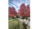 A walking path with large red trees and autumn colors surrounded by grass and shrubbery at 8617 Gold Peak Dr # D, Highlands Ranch, CO 80130