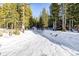 Snowy driveway leading to a cabin in the woods at 381 Lake Rd, Idaho Springs, CO 80452