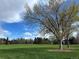 Expansive park with large trees and lush green grass under a blue sky at 3765 S Depew St, Denver, CO 80235