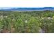 Expansive aerial view of a lush forest and mountains in the distance at 1185 Fawnwood Rd, Monument, CO 80132