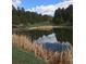 Scenic pond reflecting the sky and surrounding trees at 1185 Fawnwood Rd, Monument, CO 80132